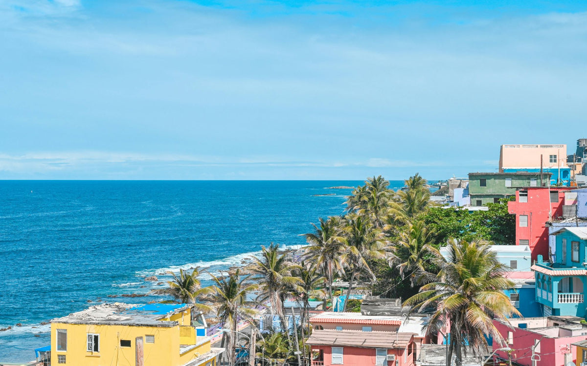Colorful houses and palm trees along the ocean in San Juan, Puerto Rico